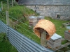 swarm_in_skep