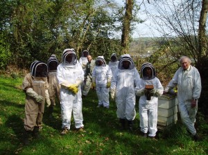Beekeeping taster day