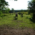National Beekeeping Centre for Wales - Apiary