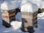 Beehives in Snow