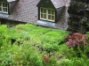 green-roof
