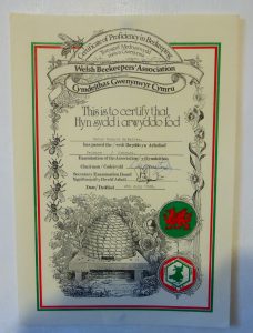 WBKA Basic Assessment certificate