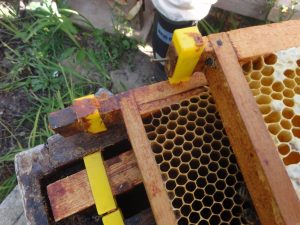 Old comb in poor condition