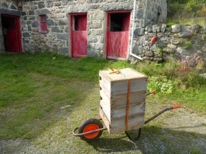 Stack of strapped supers being moved on a bee barrow