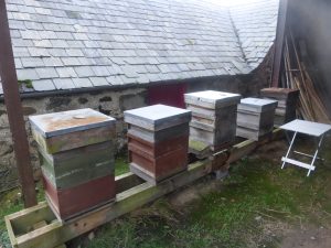 Long rail hive stand in a barn