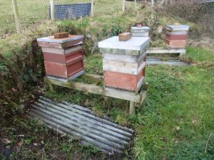 Basic hive stand made from timber rails and posts